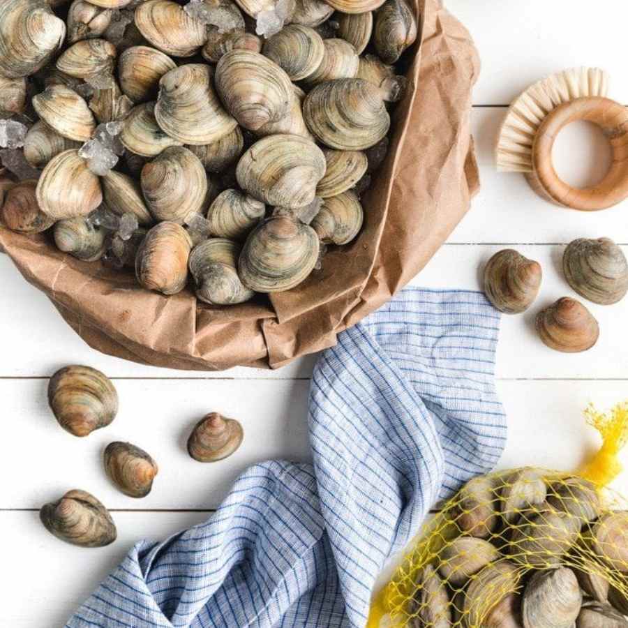 Golden Bai Wei Sand free Dried Clams 100g  (hen kho) - Image 2