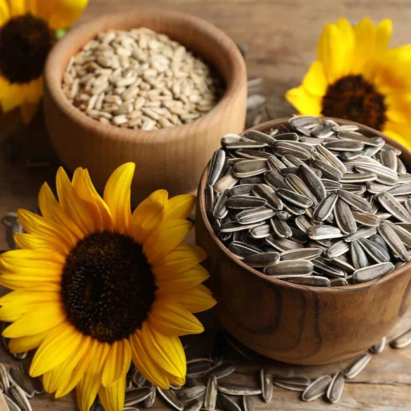 Triko Salted Sunflower Seed 210g (Hat Huong Duong Vi Muoi) - Image 2